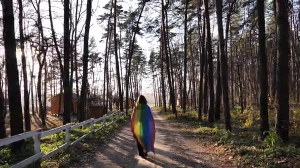 Ormanda LGBT bayrağı taşıyan kişi — Stok video