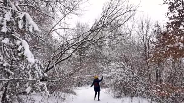 Kvinna promenader i vintern snöig skog — Stockvideo
