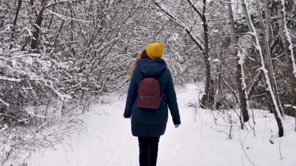 Menina caminha na floresta nevada de inverno — Vídeo de Stock