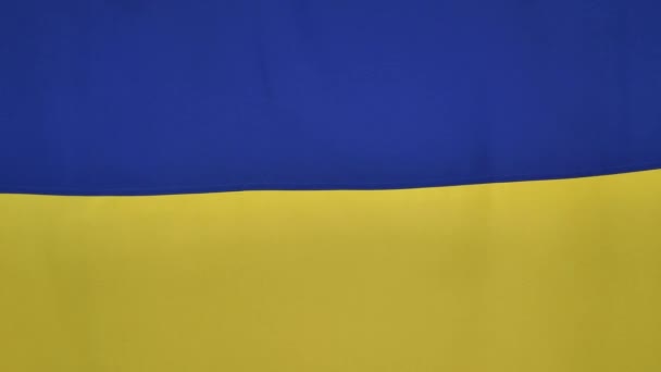 Ukrayna Ulusal Bayrağı - Sarı mavi — Stok video