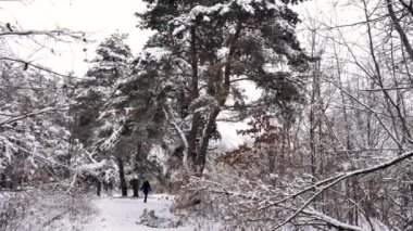 Genç bayan, kız kışın karlı ormanda ağır çekimde yürür. Sarı şapkalı ve sırt çantalı bir gencin genel planı.