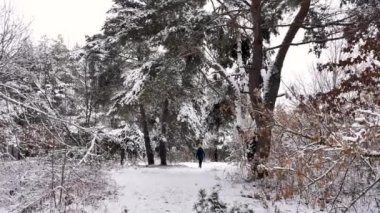 Genç bayan, kız kışın karlı ormanda ağır çekimde yürür. Sarı şapkalı ve sırt çantalı bir gencin genel planı.