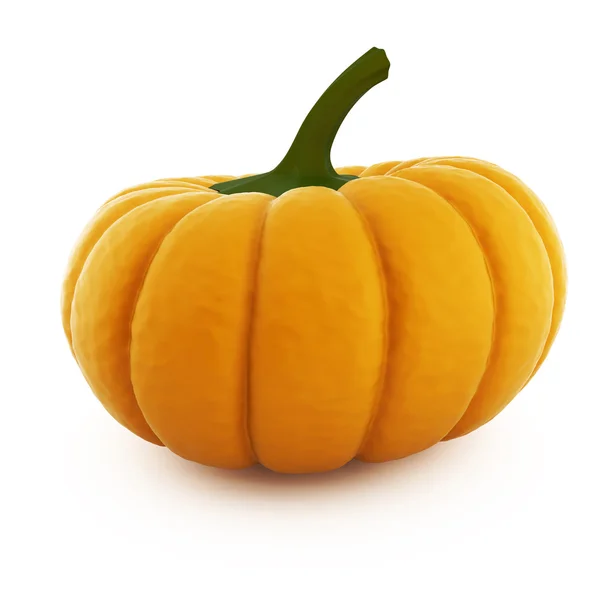 Pumpkin — Stock Photo, Image