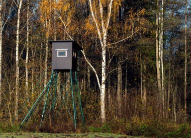 Güneşli sonbahar ormanında ahşap avcı kulübesi.