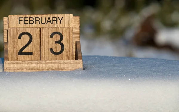 Dřevěný Kalendář Února Datum Stojící Sněhu Venku Přírodě — Stock fotografie