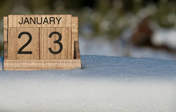 Dřevěný Kalendář Ledna Datum Stojící Sněhu Venku Přírodě — Stock fotografie