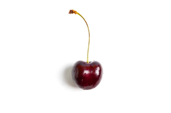 Single Red Sweet Cherry Isolated White Background — Foto Stock