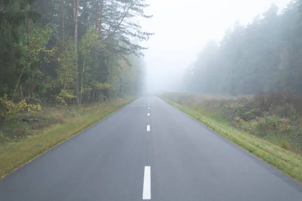 Foggy asphalt road in nature at misty autumn morning.