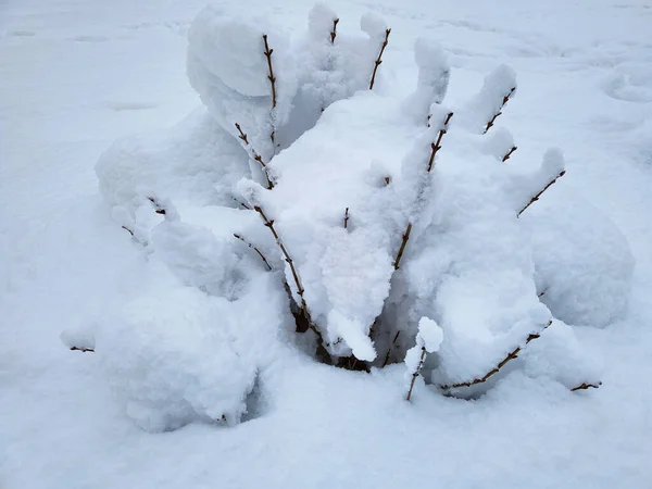 Winter Veel Sneeuw — Stockfoto