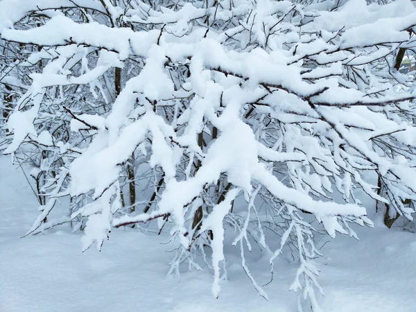 Зима Много Снега — стоковое фото