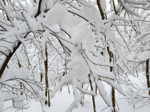 Χειμώνας Πολύ Χιόνι — Φωτογραφία Αρχείου