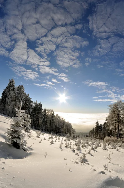 Paisagem inverno — Fotografia de Stock