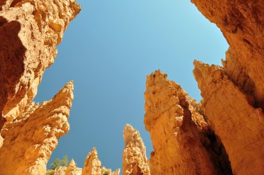 bryce canyon Kızıl kaya