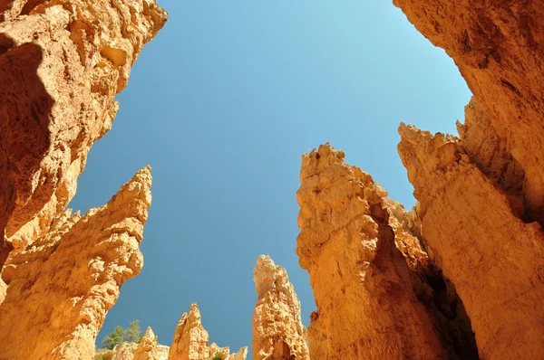 Bryce canyon Kızıl kaya — Stok fotoğraf