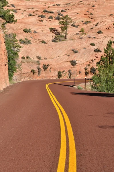 Straße im Zion Nationalpark — Stockfoto