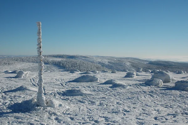 Snöigt landskap — Stockfoto