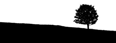 siluet çayır içinde ağaç
