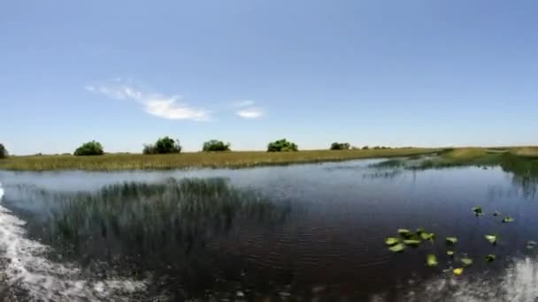 Parque Nacional Everglades desde el aerodeslizador — Vídeo de stock