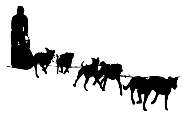 Dog sled silhouette on a white background — Stock Photo, Image