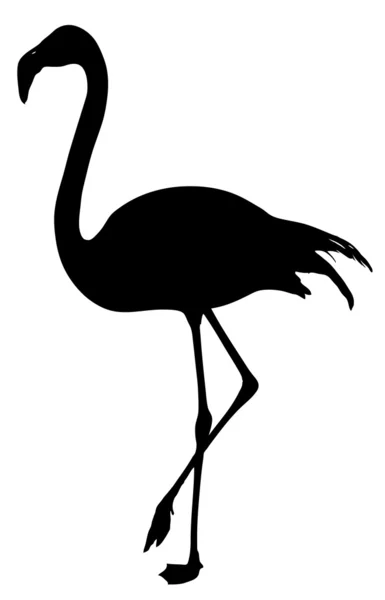 Flamingo — Vetor de Stock