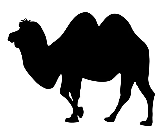 Silhouette of a camel — Stock Vector