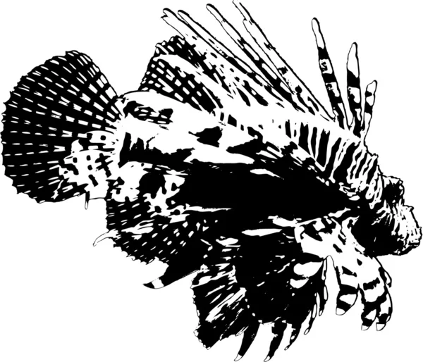 Lionfish illustration — Stock vektor