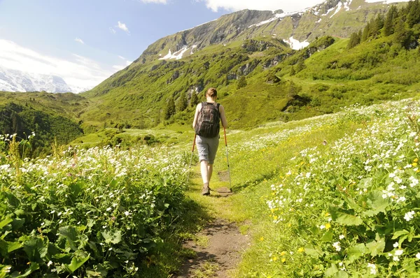 Girl on a hiking trip in the mountains — Stock Photo, Image