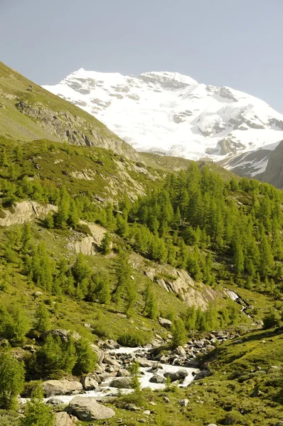 Mountain scenery with stream — Stock Photo, Image