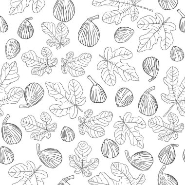 İncir ağacı yaprakları ve meyve çizgisi sanat vektörü izole edilmiş kusursuz desen