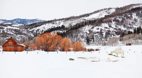 Dağlarda kış manzarası.