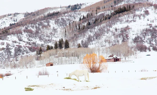 Dağlarda kış manzarası.