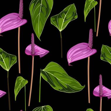 Anthurium. Pürüzsüz çiçek desenleri, mor parlak çiçekler ve anthurium yaprakları. Siyah zemin üzerinde tropikal desen. 