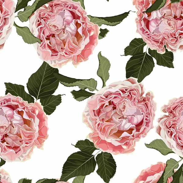 无缝隙的花图案 粉红的玫瑰花朵 白色背景 夏天和春天的主题 时尚的植物质感 — 图库矢量图片