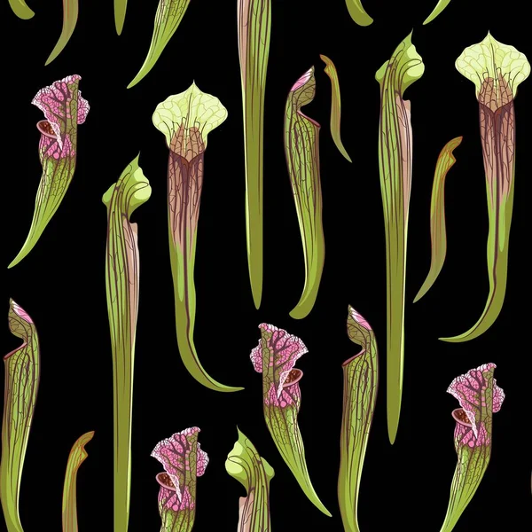 Patrón Tropical Sin Costuras Estampado Verano Selva Selva Tropical Sarracenia — Vector de stock