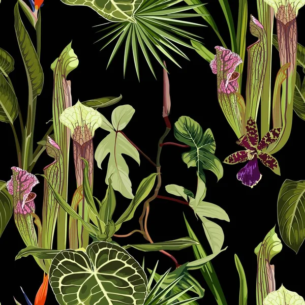 Тропический Бесшовный Рисунок Летняя Печать Леса Джунглей Непентес Род Плотоядных — стоковый вектор