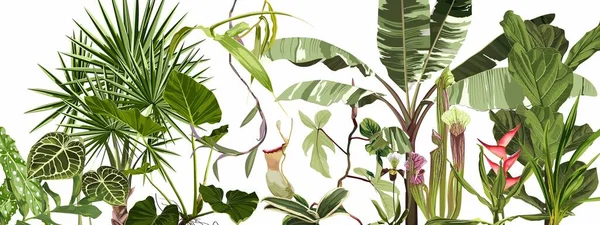 Flores Tropicais Folhas Sobre Fundo Branco Ilustração Folhagem Selva Plantas —  Vetores de Stock