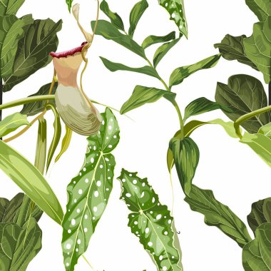 Tropik, pürüzsüz desen. Yaz baskısı. Orman yağmur ormanları. İhtiyaçlar, etobur bitkilerin cinsi. Maymun bardakları egzotik liana bitkisi. Egzotik çiçekler ve palmiye yapraklarıyla kusursuz çiçek deseni..