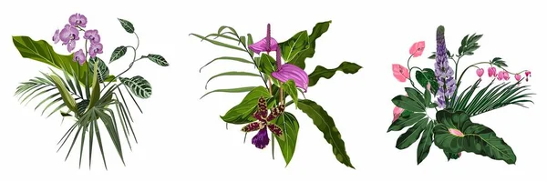 热带邀请函 花卉邀请函谢谢 Rsvp现代卡片设计 一套热带花束 有奇异的紫罗兰花和绿色的植物和叶子 — 图库矢量图片
