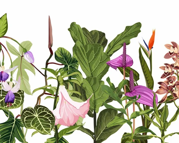 Tropische Blumen Und Blätter Auf Weißem Hintergrund Jungle Laub Illustration — Stockvektor