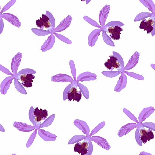Rosa Viola Orchidea Fiori Modello Senza Soluzione Continuità Sfondo Decorativo — Vettoriale Stock