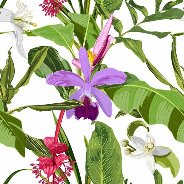 Orkidéer Bananblommor Sömlös Blommönster Med Violetta Rosa Glänsande Blommor Och — Stock vektor