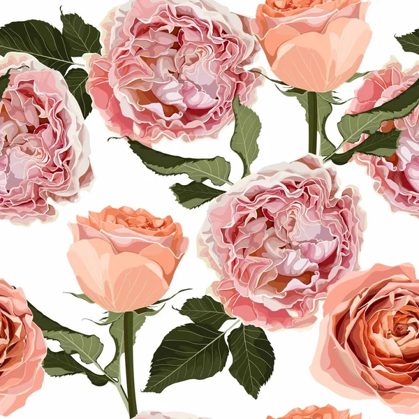 无缝隙的花图案 粉红色和乳白色的玫瑰花朵在白色的背景 夏天和春天的主题 时尚的植物质感 — 图库矢量图片