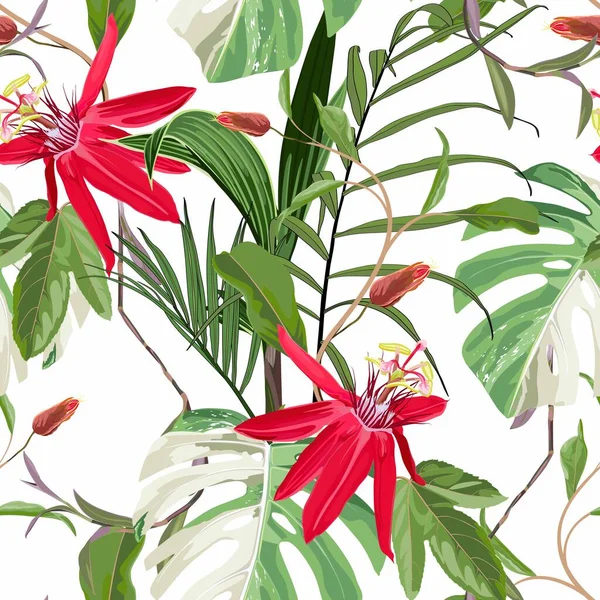Rote Passionsblume Knospen Und Tropische Palmenblätter Auf Weißem Hintergrund Blühende — Stockvektor