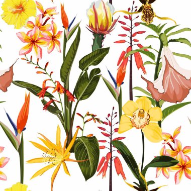 Beyaz arka planda sarı tropikal çiçekler, tomurcuklar ve tropikal yapraklar. Duvar kağıdı, tebrik kartı, web tasarımı, kupon, broşür ve pankart tasarımı için çiçek açan. 