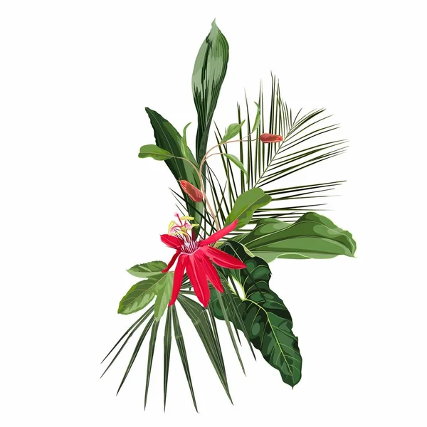 Rajskie Egzotyczne Liście Palmy Czerwony Kwiat Namiętności Skład Szablonu Karty — Wektor stockowy