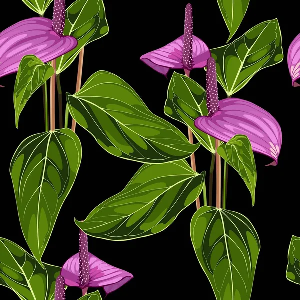 Anthurium 无缝花图案 紫罗兰花 无花果叶 黑色背景上的热带图案 — 图库矢量图片