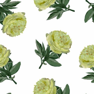 Çiçeksiz desenli sarı kireç çiçekli ve yapraklı. Beyaz arkaplanda açan çiçekler.