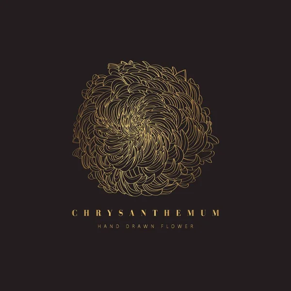Chrysant Bloemen Logo Templates Retro Floral Golden Illustration Met Stijlvolle — Stockvector