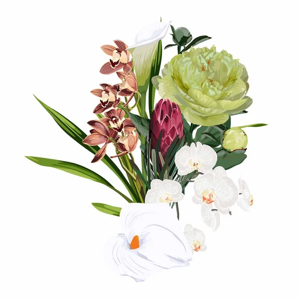 Illustration Dessinée Main Une Belle Pivoine Bouquet Tropical Fleurs Jardin — Image vectorielle