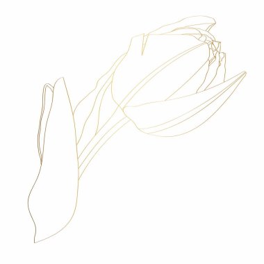 Altın çiçek elementleri. Yaprak dallı lale çiçeği. Düğün konsepti. Çiçek posteri, davet. Tebrik kartı veya davet tasarımı ögeleri.